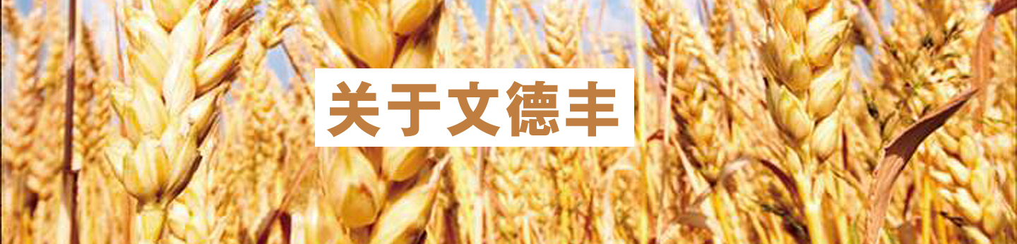 關(guān)于文德豐